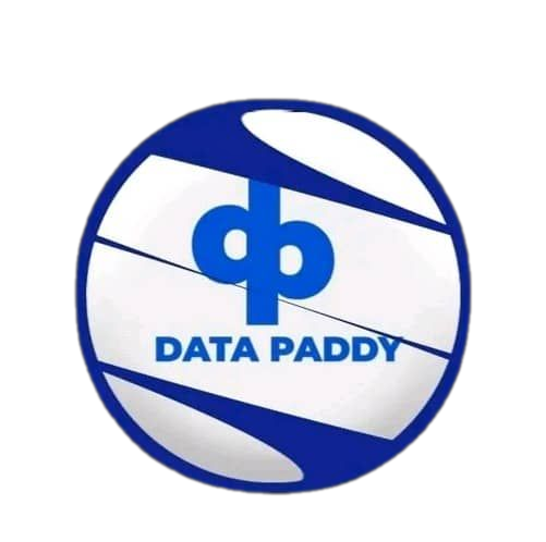 Datapalace Logo